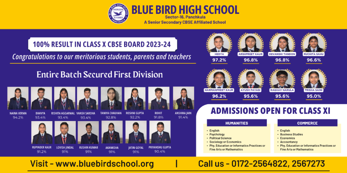 Class X Result
